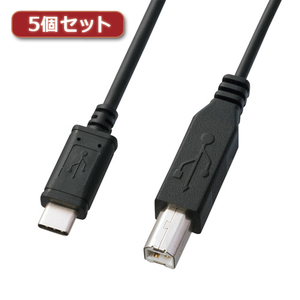 【5本セット】 サンワサプライ USB2.0 Type-C-Bケーブル 2m ブラック KU-CB20X5 /l