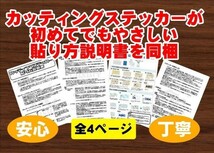 ◇送料無料【６種類セット×全16カラー】テンダーロイン ◇TENDERLOIN 防水ステッカー 【No.130】_画像5