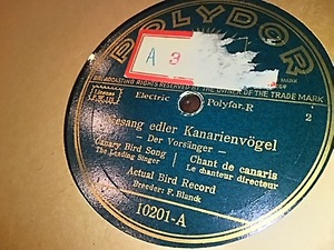 actual bird record 「Gesang edler Kanarienvgel」（polydor10201）