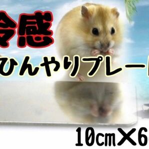 洗える 冷感 ひんやり アルミ プレート 夏 温度管理 クールマット 小動物