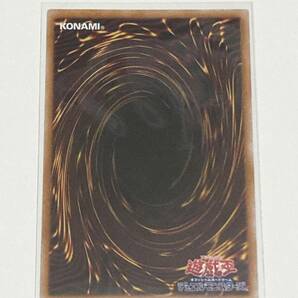 【遊戯王/YU-GI-OH/OCG】 エビルナイト・ドラゴン 復刻版 ウルトラレアの画像2