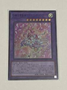 【遊戯王/YU-GI-OH/OCG】 幻奏の華歌神フラワリング・エトワール　スーパーレア