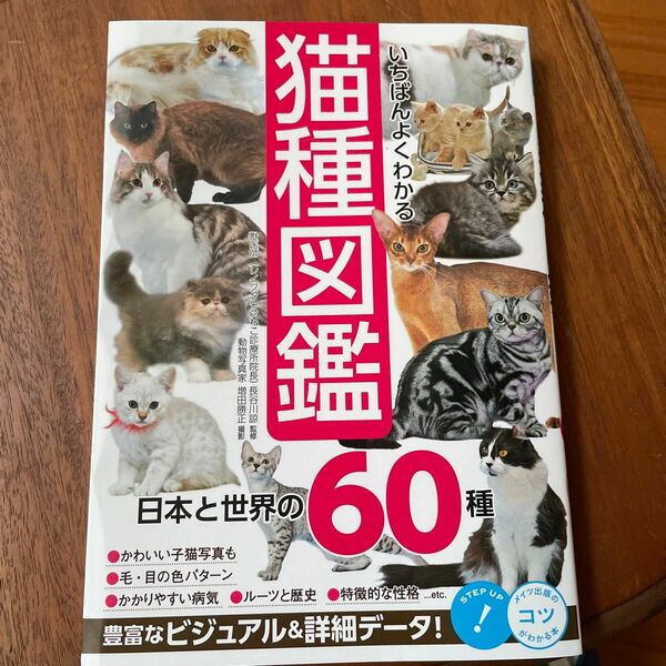 いちばんよくわかる猫種図鑑　日本と世界の６０種 （コツがわかる本） 長谷川諒／監修　増田勝正／撮影