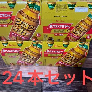 ウコンの力　フルーツ風味　ドリンク　24本セット　未開封　