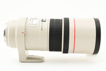 キヤノン Canon EF 300mm F4 L IS USM オートフォーカス 一眼レフ レンズ 【現状品】 #1458_画像7