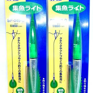 新品 National ナショナル リチウム 集魚ライト BF-049-G まとめて２個 送料無料 タチウオ アナゴ ウナギ イカ釣り