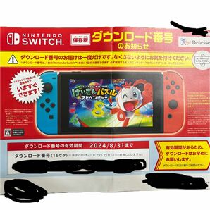Nintendo Switch けいさんパズルアドベンチャー　ダウンロード番号