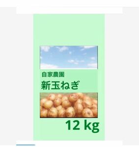 １２kg 農薬不使用 白子新玉ねぎ 