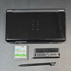 ニンテンドーDSlite 本体