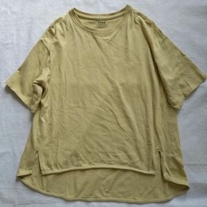 コットンTシャツ　くすみ黄緑　カットソー　 