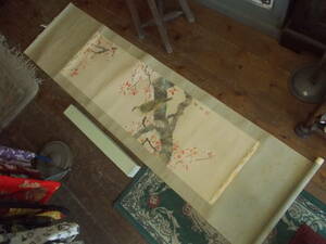 1● 掛け軸 掛軸 廣雲「桜」水墨画 在銘 詳細不明 巻物 和室 茶室 床の間 当時物