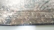 #43 【未開封保管品】12インチシングルレコード ★bird/BEATS★ produced by SHINICHI OSAWA/AIJT-5028/希少アナログ盤/渋谷系/R&B_画像5