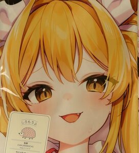  small demon girl * star cape .. Dakimakura cover *.. bride *.....*.......*roli[ unopened * unused goods * regular goods ]* postage Y185~