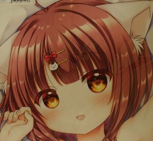 にほん女子●●ずかん☆Cute Rico☆☆送料￥185～☆月星そら 抱き枕カバー fetish ver.【未開封 未使用品 正規品】