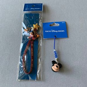 ディズニー 東京ディズニーリゾート　ミッキー　キーホルダー　すず