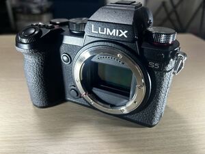 Panasonic беззеркальный однообъективный камера LUMIX DC-S5