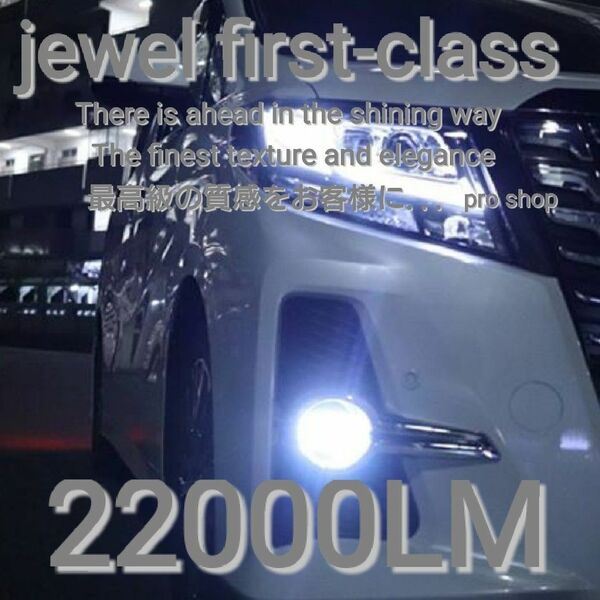 jewel plemium 最強クラス間違いなし！CSPチップ採用　30000LM 爆光ホワイト