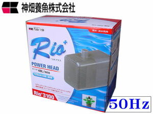 カミハタ リオプラス Rio+3100 50Hz 東日本仕様 水中ポンプ　管理80