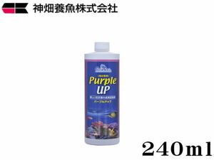 【レターパック発送】カミハタ カリブシー パープルアップ 240ml　管理LP2