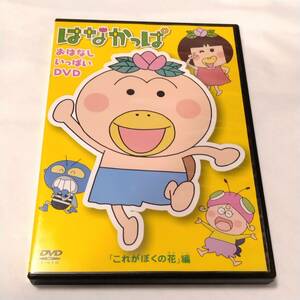 DVD アニメ はなかっぱ おはなしいっぱいDVD これがぼくの花編 約2時間収録 国内セル版 KADOKAWA