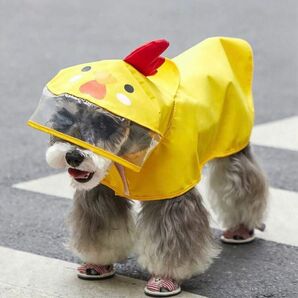 雨の日 犬ペット用レインコート