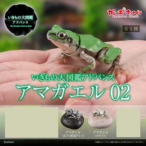 いきもの大図鑑アドバンス アマガエル０２ 2種 オンライン販売分 未開封