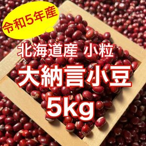 北海道産 小粒大納言小豆5kg