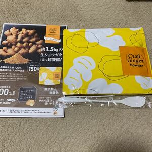 605t0541☆ Craft Ginger 高知県産 生姜パウダー 75g 高知県産粉末生姜 国産 クラフトジンジャー しょうが粉末（生姜粉末） 生姜湯 無添加