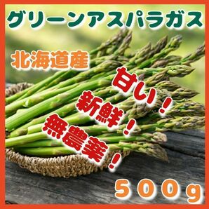 ＊５月１７日収穫【北海道産】【アスパラガス】【５００ｇ】甘い！新鮮！無農薬！農家直送野菜！