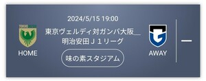 東京ヴェルディ対ガンバ大阪 明治安田Ｊ１リーグ 2024/5/15(水) 19:00 味の素スタジアム(東京都) バックBホーム ×2枚