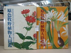 п0101　原色牧野植物大圖鑑 正・続 2冊セット 牧野富太郎 植物 図鑑 北隆館 大型本