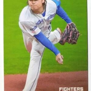 【エラーカード】伊藤大海 北海道日本ハムファイターズ 2024 プロ野球チップスカード 身長176m メートル 誤植カード