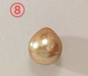 ⑧南洋白蝶貝真珠ゴールデンルース約12.9mm