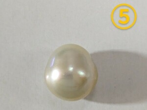 ⑤南洋白蝶貝真珠ルース約11.9mm！