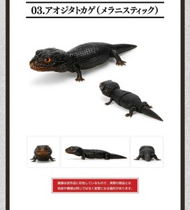 【新品】【未開封】いきもの大図鑑レプティアオジタトカゲとニシアフリカトカゲモドキ　アオジタトカゲメラニスティック バンダイ