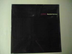 【出ました！新品】 レピッシュ / Blackbird Remixes １２インチ