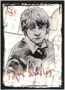 2009 Artbox Harry Potter Memorable Moments Series 2 Puzzle Prismatic Foil Case Card PZ6 パズルカード ハリーポッター