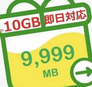 mineo マイネオパケットギフト 約10GB(9999MB) 5/26まで