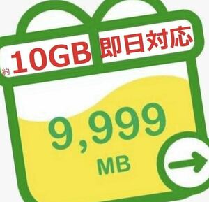mineo マイネオパケットギフト 約10GB(9999MB) 送料無料　２
