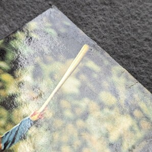 カルビープロ野球カード 1975年 地方版 No.811 木俣達彦 打撃戦シリーズ 中日ドラゴンズの画像4