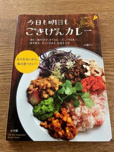 今日も明日もごきげんカレー　山脇りこ　小学館　料理本