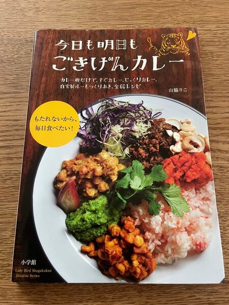 今日も明日もごきげんカレー 山脇りこ 小学館 料理本