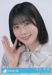 日向坂46 丹生明里 君はハニーデュー TypeB 初回盤 封入特典 生写真