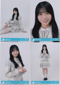 日向坂46 山口陽世 君はハニーデュー 4種 4枚セット コンプ 初回盤 封入特典 生写真