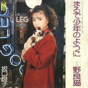 C00189105/EP/坂口良子「田中丸家御一同様 OST まるで少年のように / 野良猫 (1982年・7K-54・サントラ・松本隆作詩・坂田晃一作曲・猫ジ