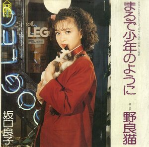 C00185542/EP/坂口良子「田中丸家御一同様 OST まるで少年のように / 野良猫 (1982年・7K-54・サントラ・松本隆作詩・坂田晃一作曲・猫ジ