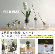 SPICE OF LIFE(スパイス) 水替えしやすい 水栽培ガラスベース 花瓶 BULB VASE バルブベース クリア ショー_画像5