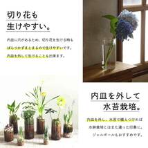 SPICE OF LIFE(スパイス) 水替えしやすい 水栽培ガラスベース 花瓶 BULB VASE バルブベース クリア ショー_画像4