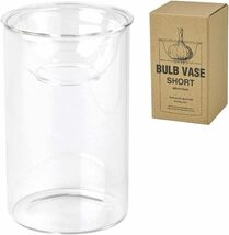 SPICE OF LIFE(スパイス) 水替えしやすい 水栽培ガラスベース 花瓶 BULB VASE バルブベース クリア ショー_画像1