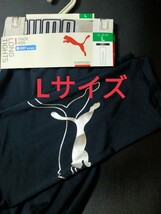 Lサイズ！送料無料！PUMA メンズ【DRY 吸汗速乾】コンプレッションタイツ【コンプレッションウェア】トレーニングーウェア 黒×銀 スパッツ_画像1